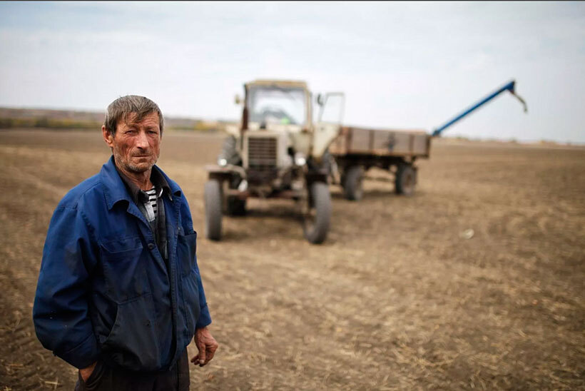 Аграрная политика в России: перспективы фермеров