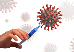 Сколько должно быть антител, чтобы не делать прививку от коронавируса?